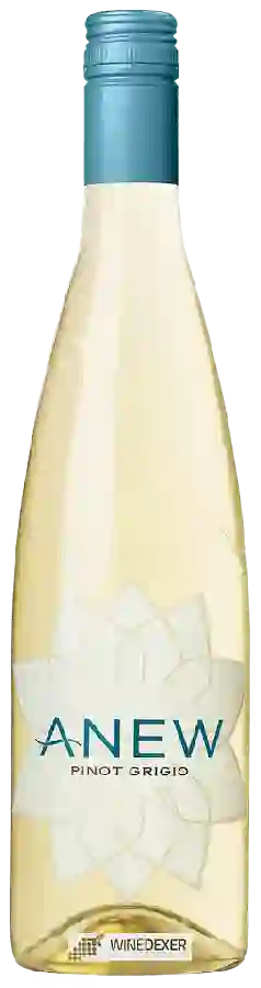 Winery Anew - Pinot Grigio