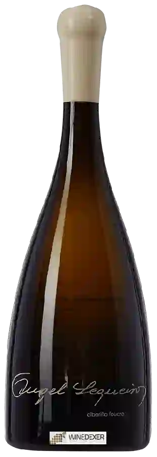 Winery Ángel Sequeiros - Albariño Foudre Winery Ángel Sequeiros - Albariño Foudre