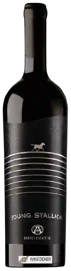 Winery Angel - Young Stallion Winery Angel - Young Stallion