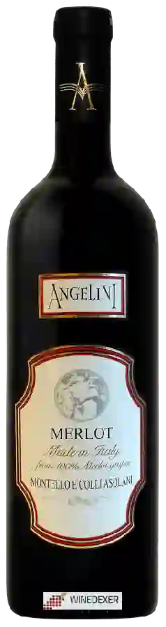 Winery Angelini - Merlot
