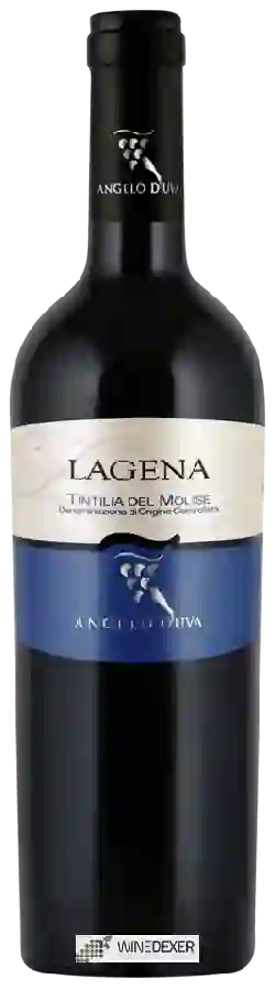Winery Angelo d'Uva - Lagena Tintilia del Molise Winery Angelo d'Uva - Lagena Tintilia del Molise