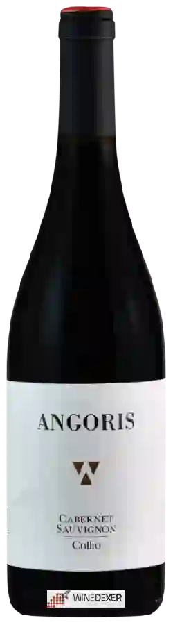 Winery Angoris - Cabernet Sauvignon Collio