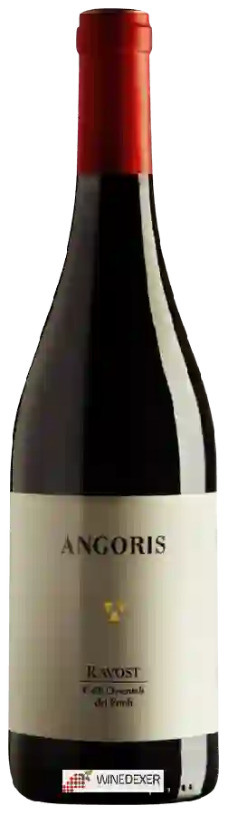 Winery Angoris - Ravòst