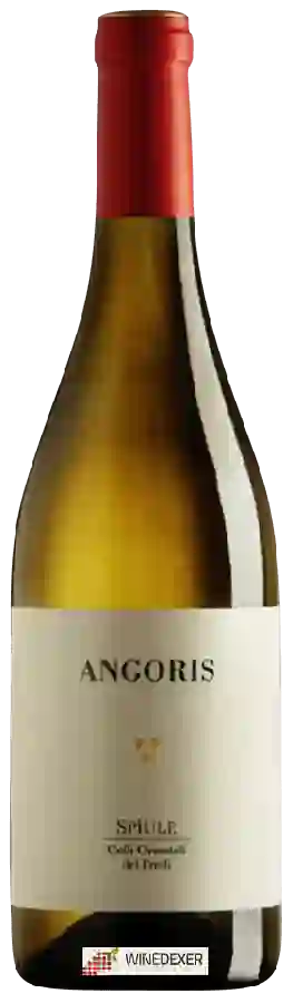 Winery Angoris - Spìule Winery Angoris - Spìule