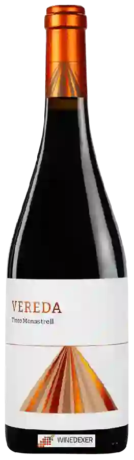 Winery El Angosto - Vereda Monastrell