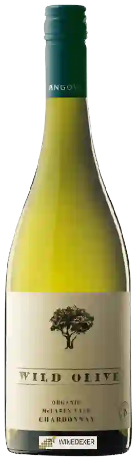 Winery Angove - Wild Olive Organic Chardonnay Winery Angove - Wild Olive Organic Chardonnay