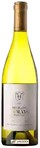 Bodega Son Mayol - Vin Blanc