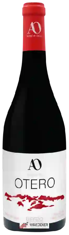 Winery Aníbal de Otero - Otero vino de villa