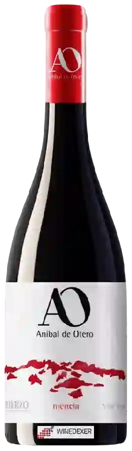 Winery Aníbal de Otero - Viña Vieja Mencía Winery Aníbal de Otero - Viña Vieja Mencía