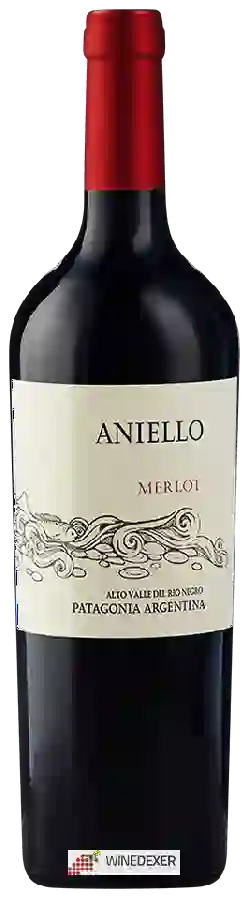 Winery Aniello - Malbec