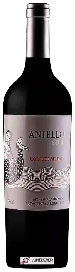 Winery Aniello - Soil Corte de Merlot
