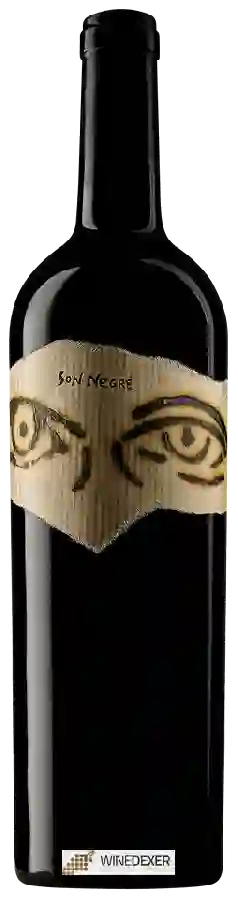 Winery Ànima Negra - Son Negre