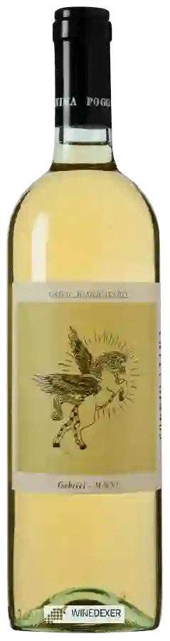 Winery Poggio Anima - Gabriel Greco Basilicata