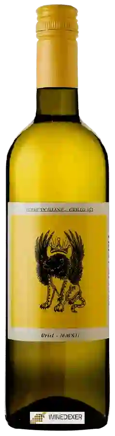 Winery Poggio Anima - Uriel Grillo