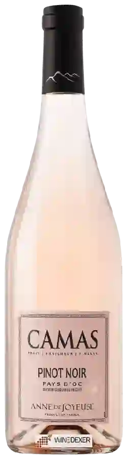 Winery Anne de Joyeuse - Camas Pinot Noir Rosé