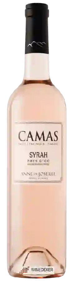 Winery Anne de Joyeuse - Camas Syrah Rosé