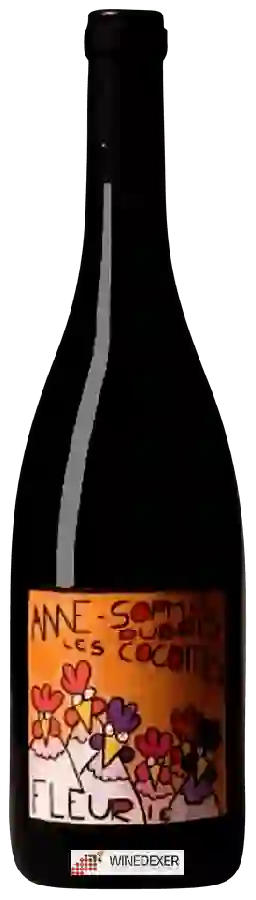 Winery Anne Sophie Dubois - Les Cocottes Winery Anne Sophie Dubois - Les Cocottes