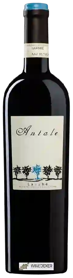 Winery Antale - Langhe Winery Antale - Langhe