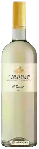 Winery Antale - Pinot Grigio Valdadige