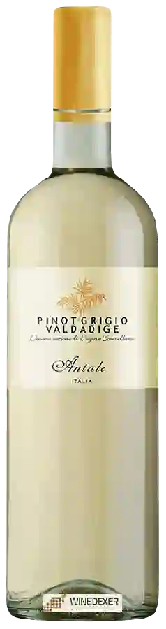 Winery Antale - Pinot Grigio Valdadige