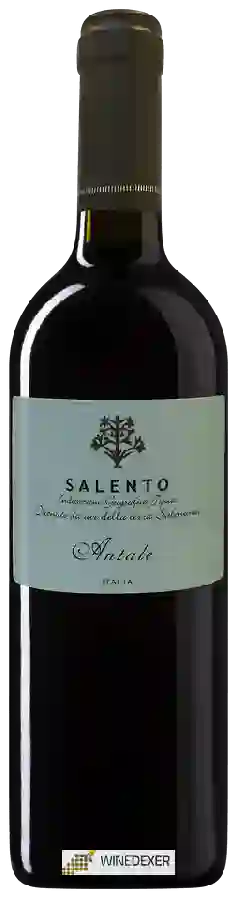 Winery Antale - Salento Winery Antale - Salento
