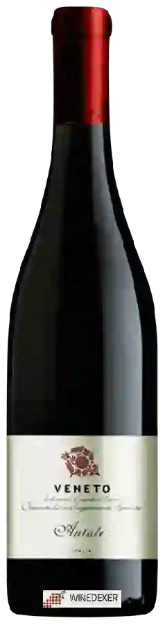 Winery Antale - Veneto