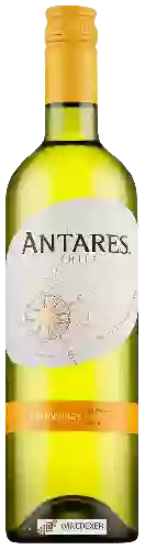 Winery Antares - Chardonnay