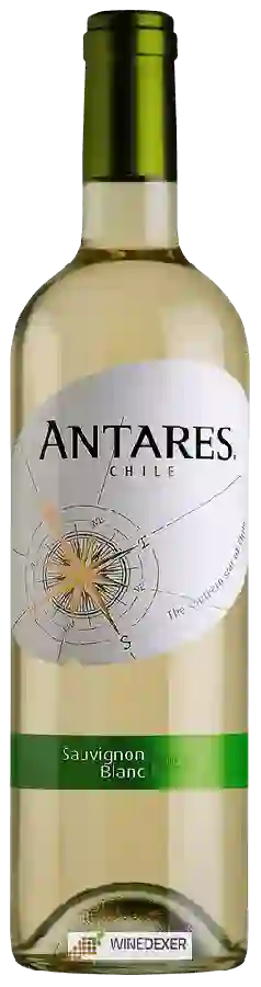 Winery Antares - Sauvignon Blanc