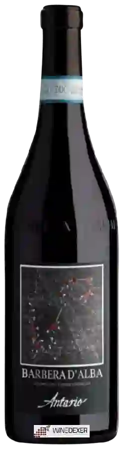 Winery Antario - Barbera d'Alba
