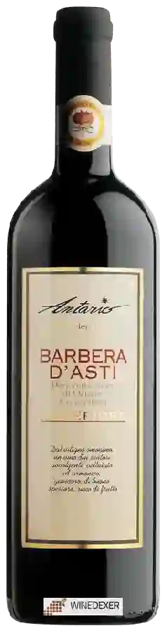 Winery Antario - Barbera d'Asti Superiore