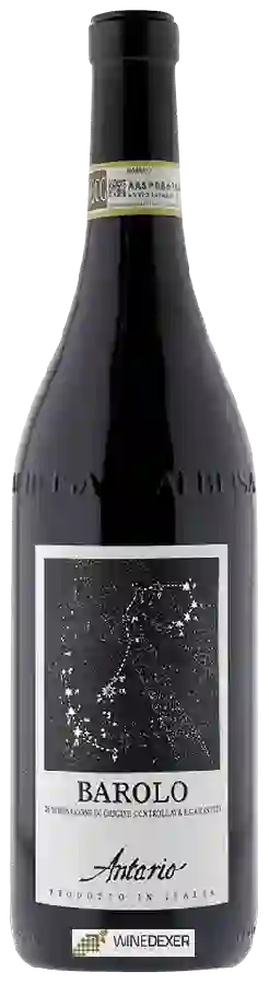 Winery Antario - Barolo