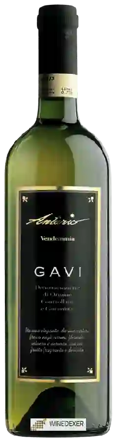 Winery Antario - Gavi Bianco