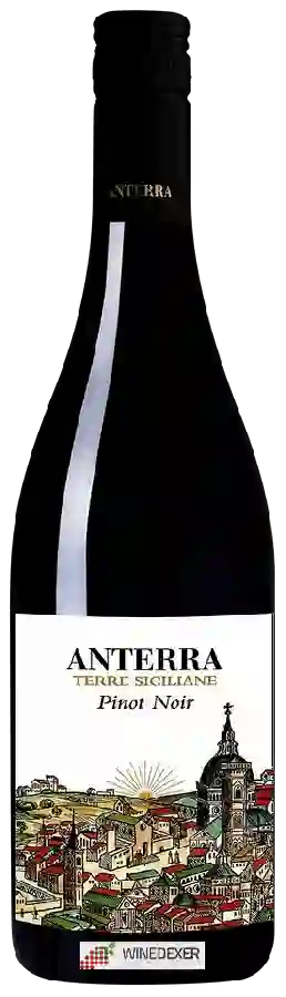Winery Anterra - Pinot Noir Winery Anterra - Pinot Noir