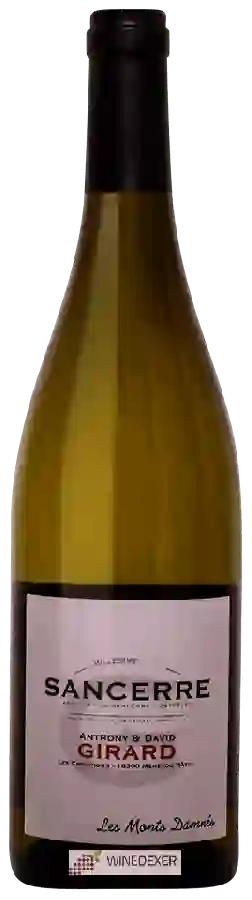 Winery Anthony Girard - Les Monts Damnés Sancerre