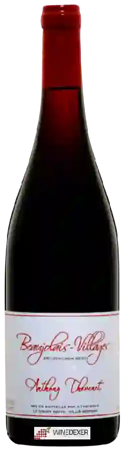 Winery Anthony Thevenet - Beaujolais-Villages