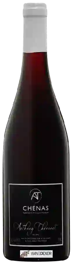 Winery Anthony Thevenet - Chénas