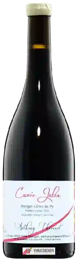 Winery Anthony Thevenet - Cuvée Julia Morgon Côtes du Py Vieilles Vignes Winery Anthony Thevenet - Cuvée Julia Morgon Côtes du Py Vieilles Vignes