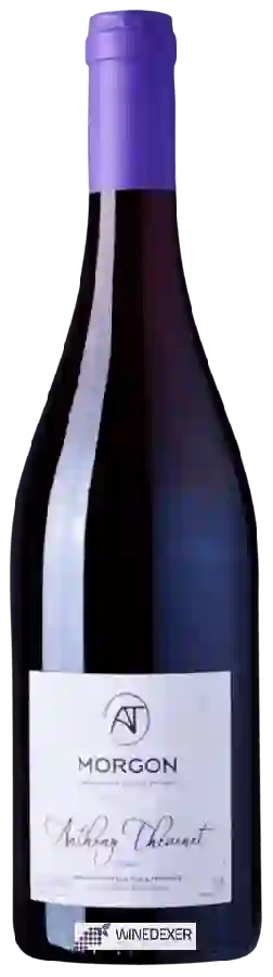 Winery Anthony Thevenet - Morgon