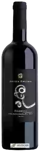 Winery Antica Enotria - Aglianico