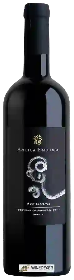 Winery Antica Enotria - Aglianico Winery Antica Enotria - Aglianico