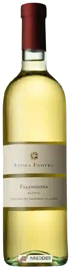 Winery Antica Enotria - Falanghina Daunia Winery Antica Enotria - Falanghina Daunia