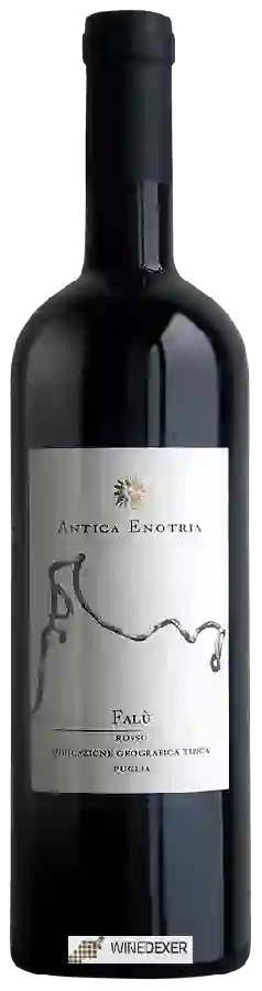 Winery Antica Enotria - Falù