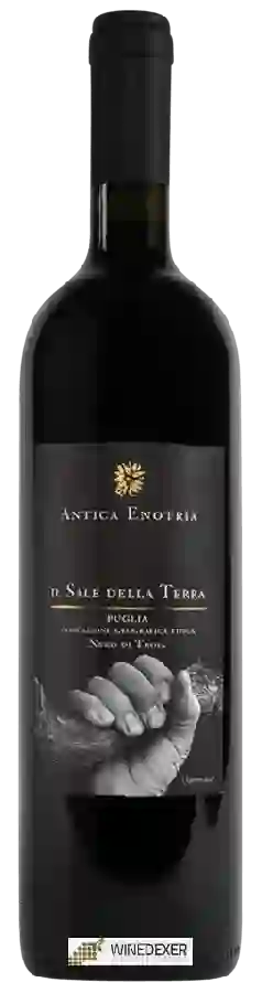 Winery Antica Enotria - IL Sale della Terra Winery Antica Enotria - IL Sale della Terra