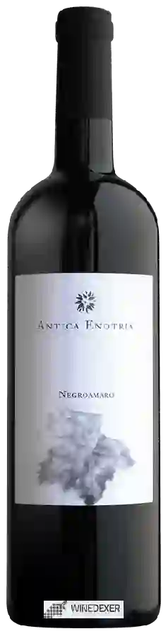 Winery Antica Enotria - Negroamaro Winery Antica Enotria - Negroamaro