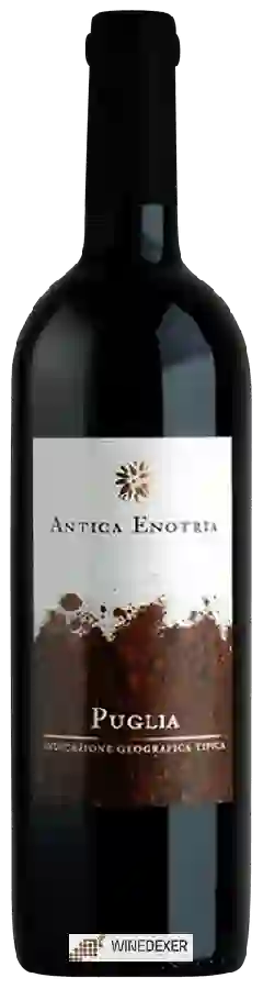 Winery Antica Enotria - Rosso Winery Antica Enotria - Rosso