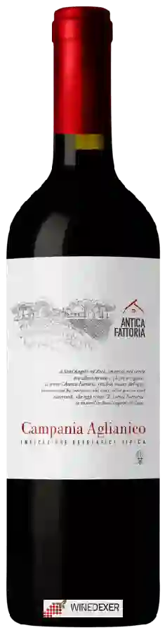 Winery Antica Fattoria - Aglianico Campania