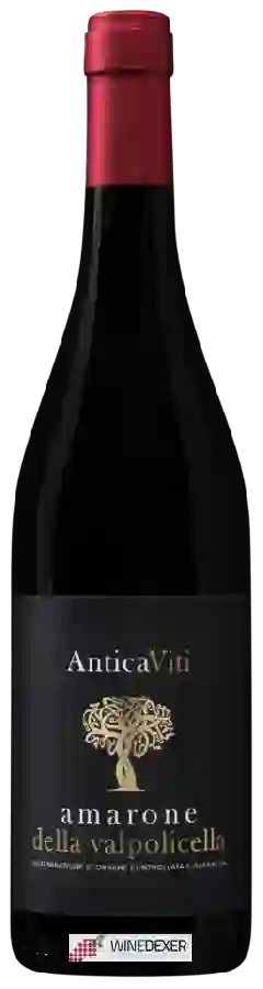 Winery Antica Viti - Amarone della Valpolicella Winery Antica Viti - Amarone della Valpolicella