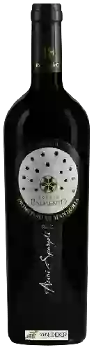 Winery Antico Palmento - Acini Spargoli Primitivo di Manduria Riserva