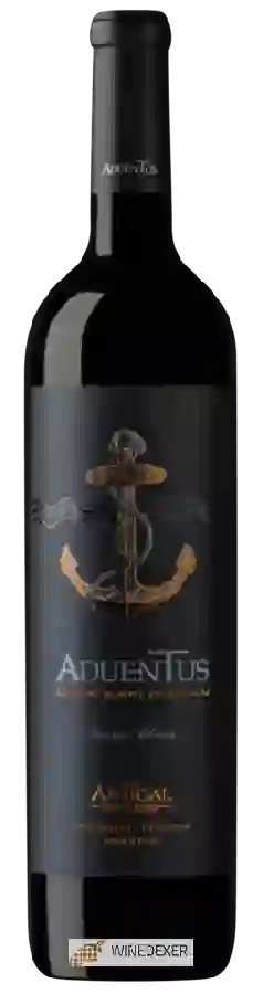 Winery Antigal - ADUENTUS Classic