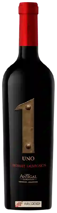 Winery Antigal - UNO Cabernet Sauvignon Winery Antigal - UNO Cabernet Sauvignon